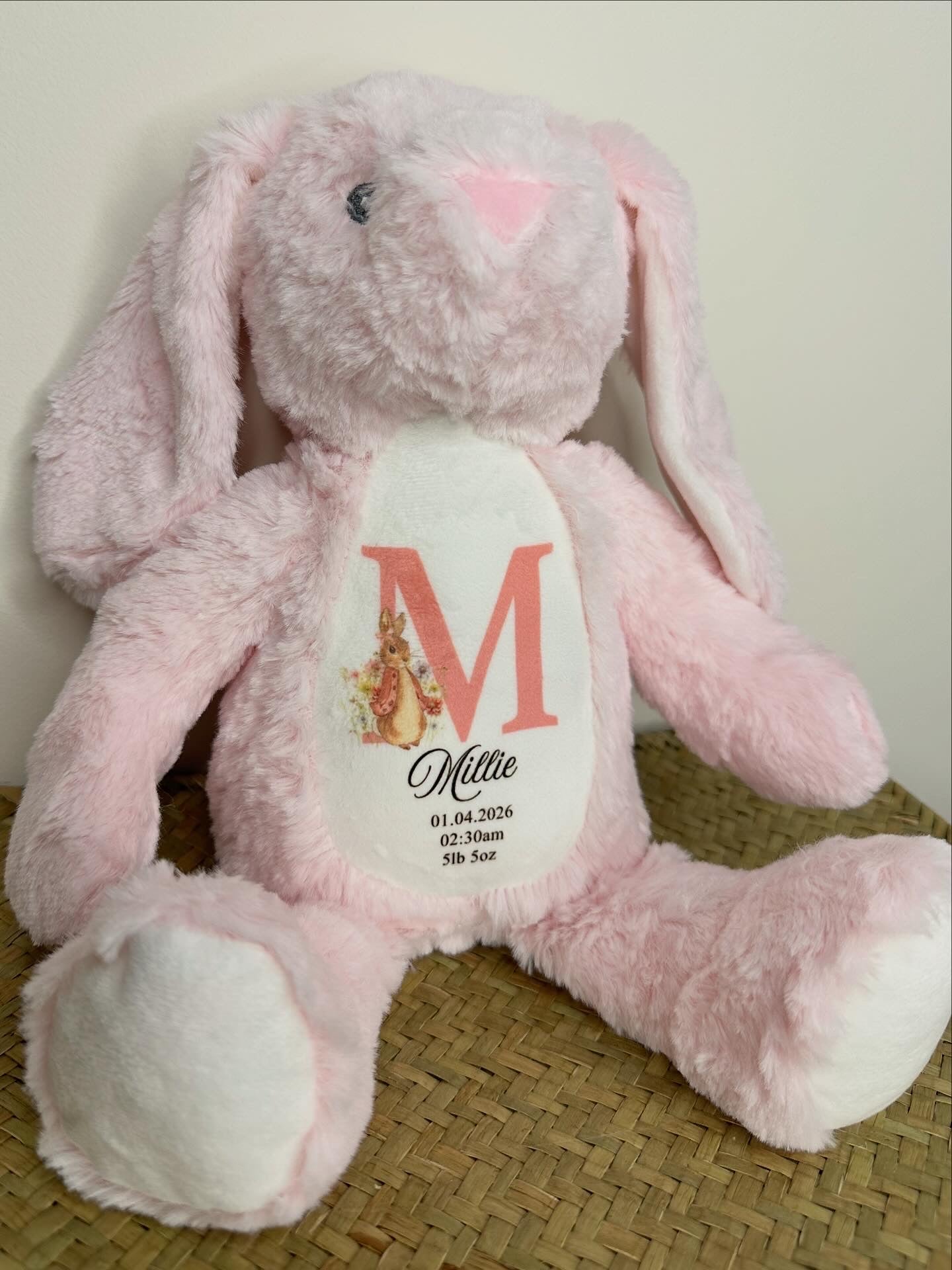 Hello World Bunny